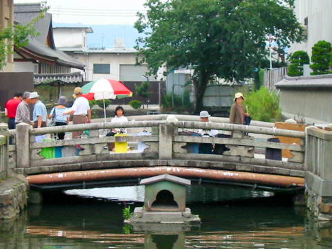 蓮池を渡る